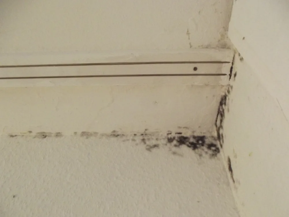 Technician in protective gear removing a mold-damaged wall in a Seaside Heights home